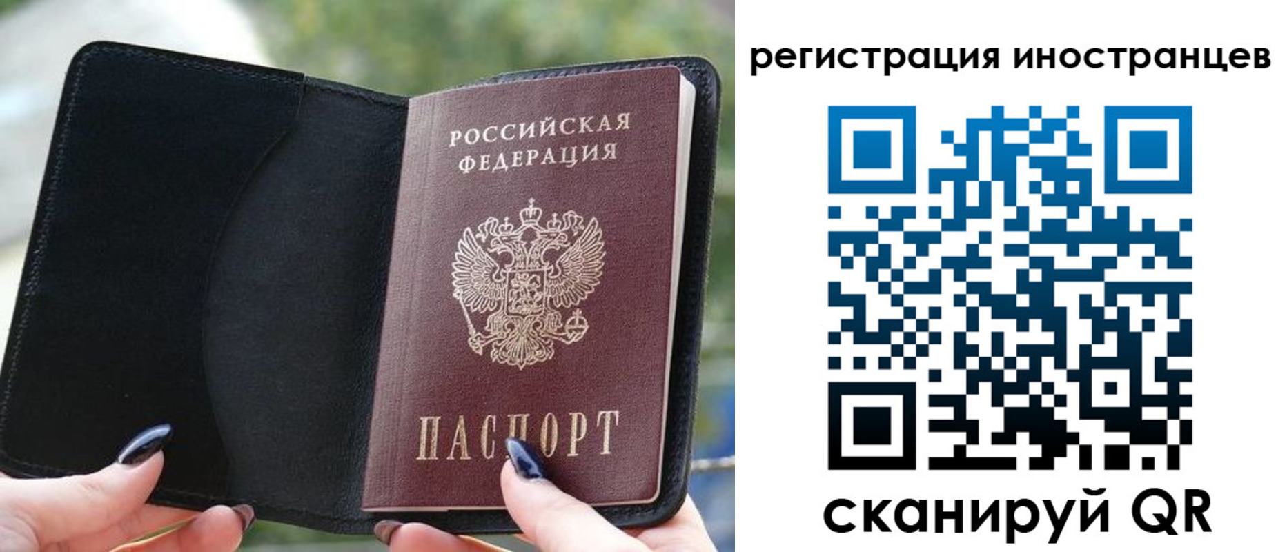 найти адрес прописки в Покрове