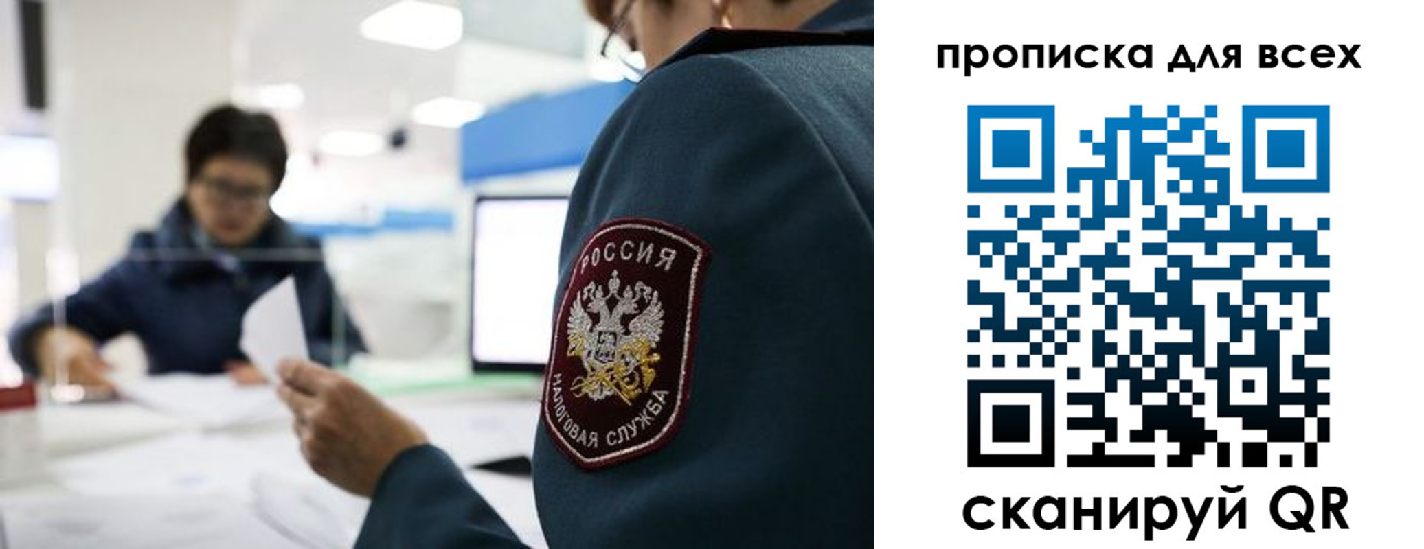 регистрация в Покрове